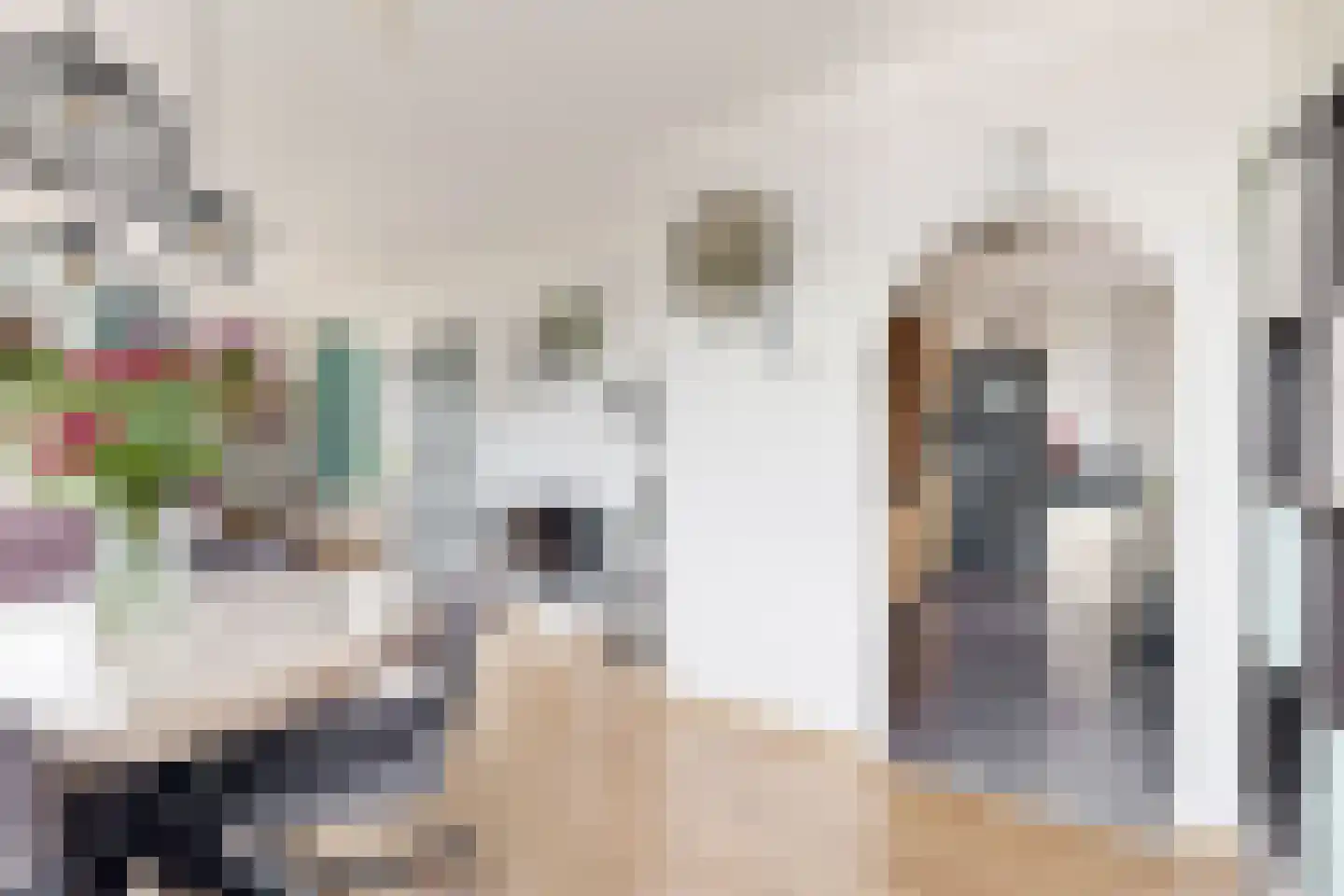 Friesestraat 3 Heijningen thumbnail 16