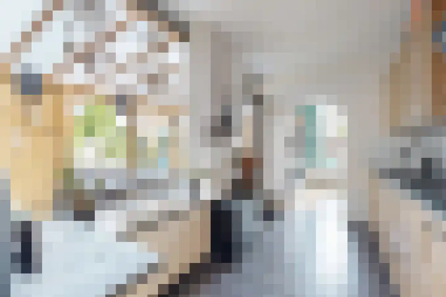 Friesestraat 3 Heijningen thumbnail 26