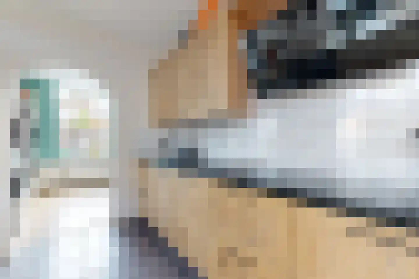 Friesestraat 3 Heijningen thumbnail 27