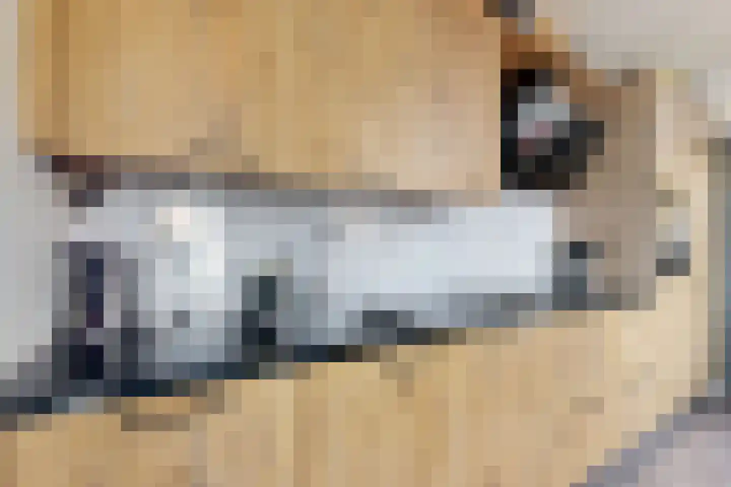Friesestraat 3 Heijningen thumbnail 28