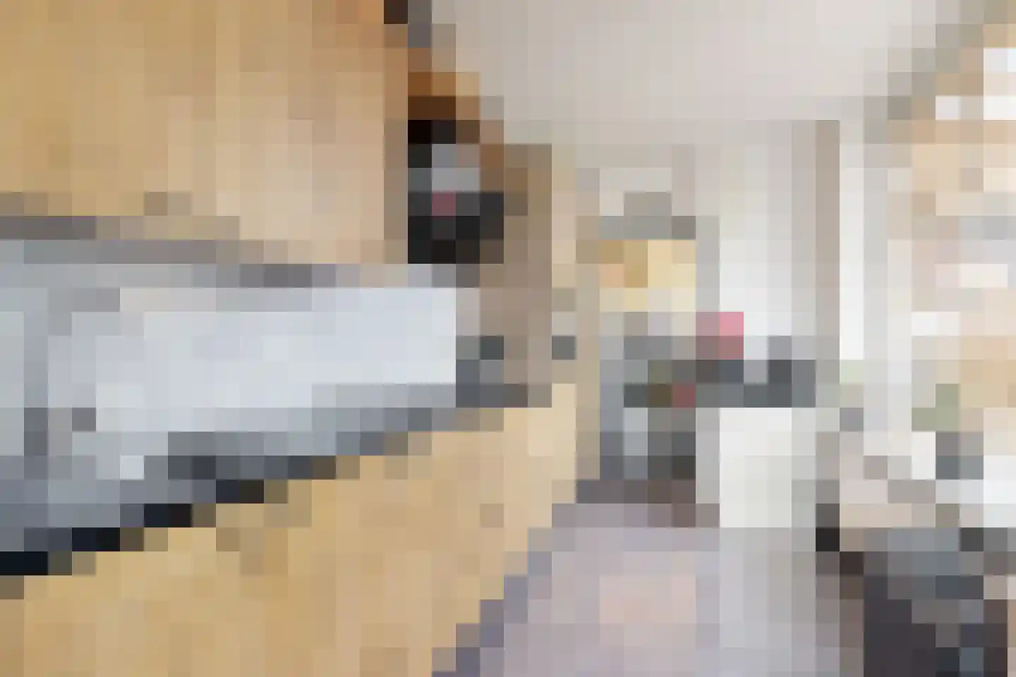 Friesestraat 3 Heijningen thumbnail 29