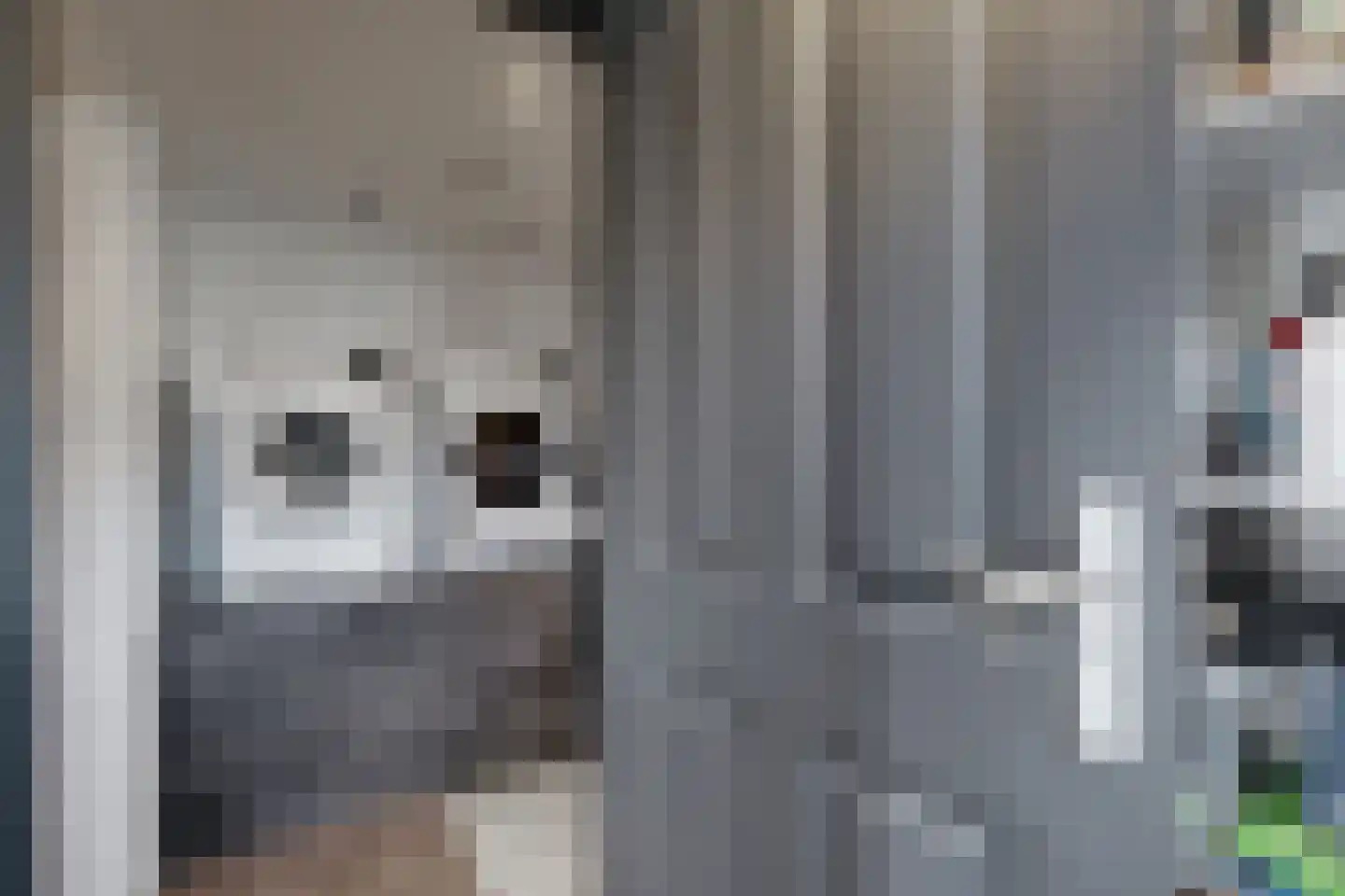 Friesestraat 3 Heijningen thumbnail 30