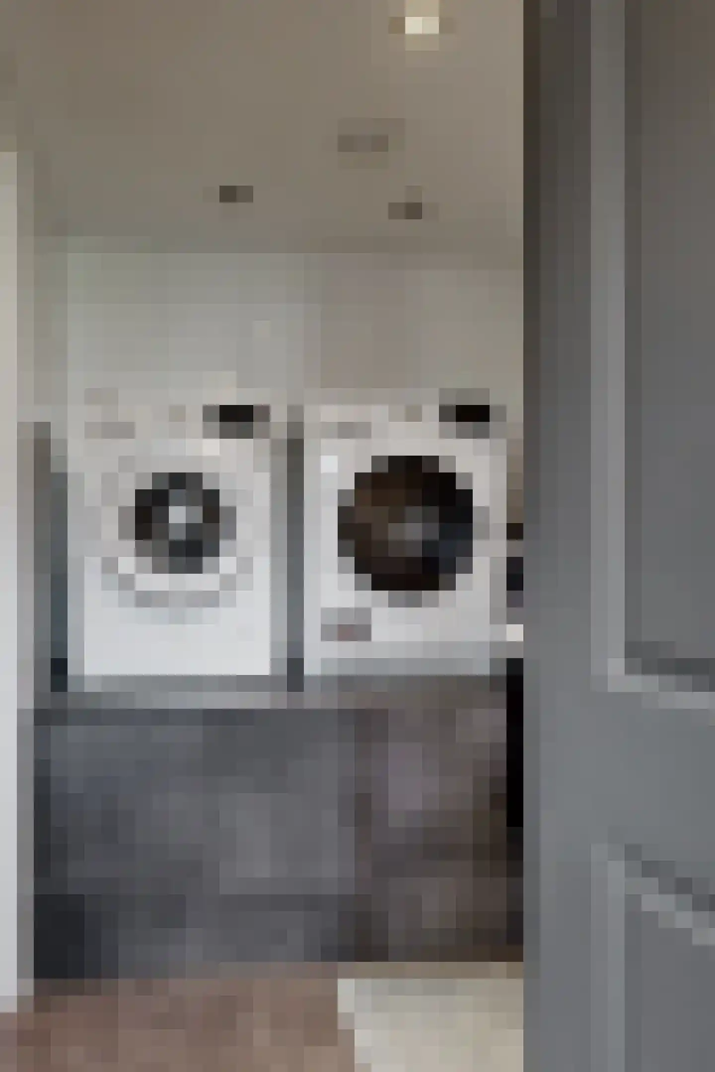 Friesestraat 3 Heijningen thumbnail 31