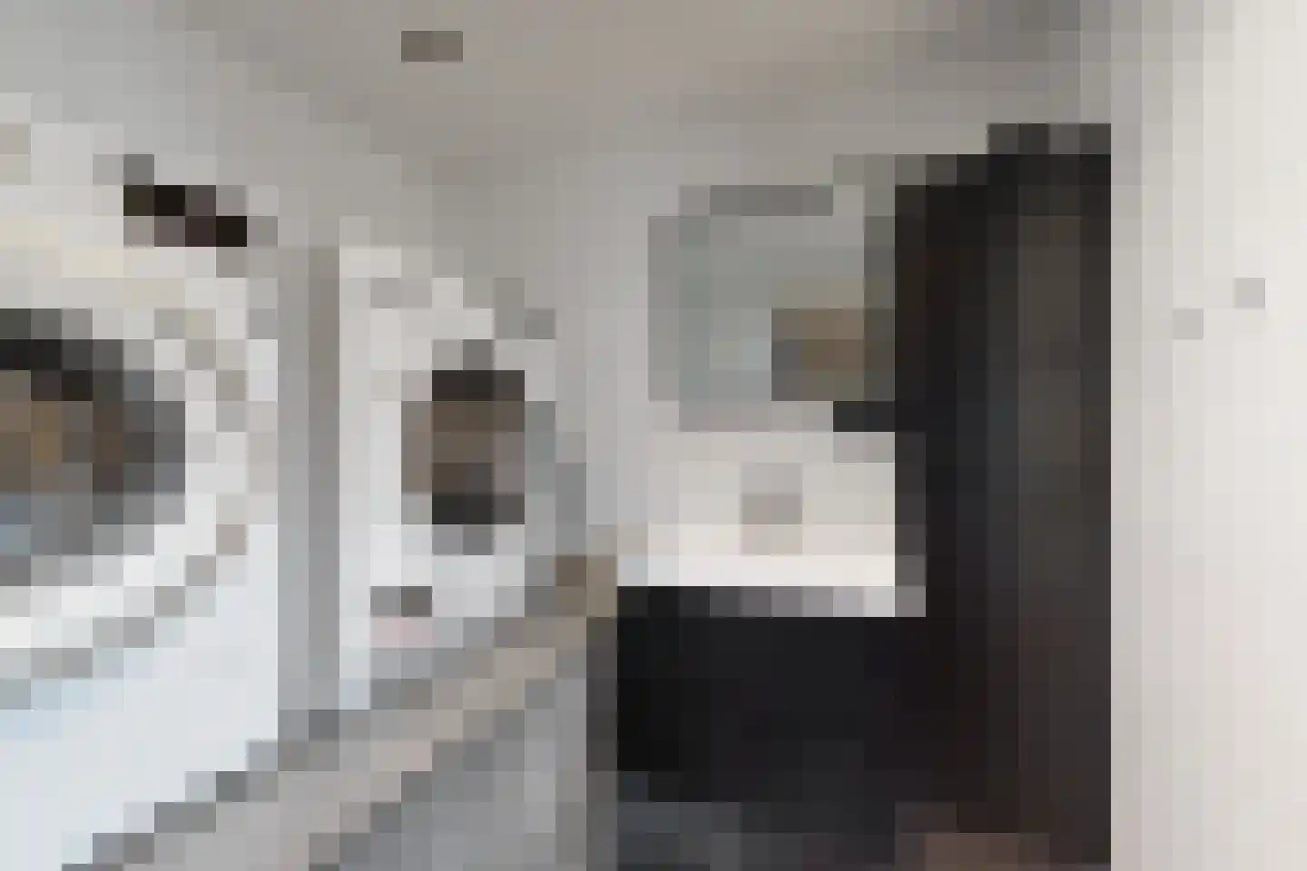 Friesestraat 3 Heijningen thumbnail 32