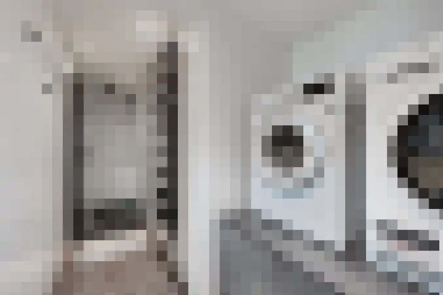 Friesestraat 3 Heijningen thumbnail 33