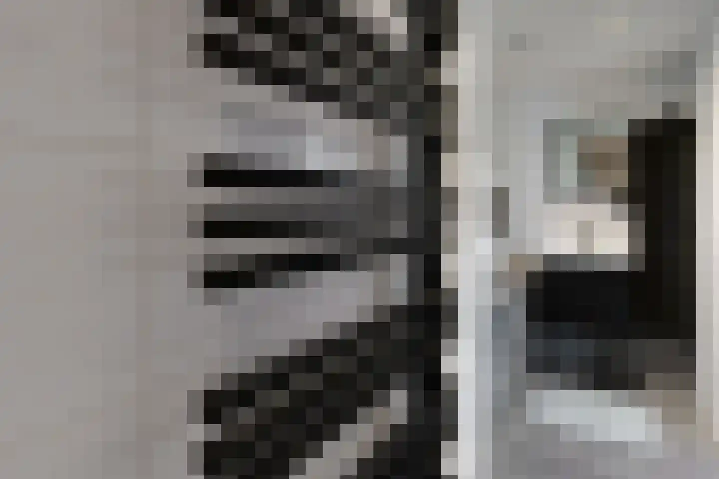 Friesestraat 3 Heijningen thumbnail 35