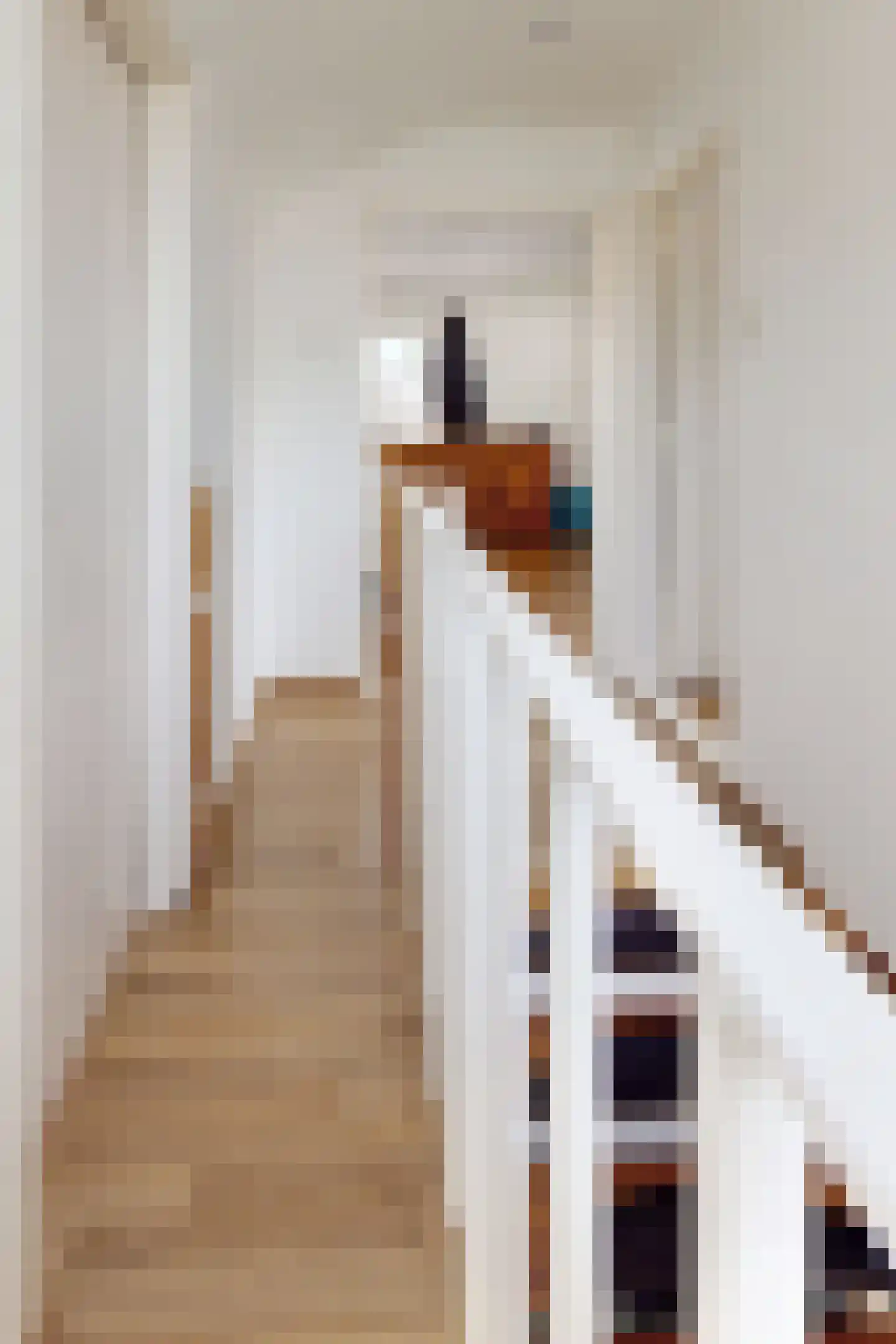 Friesestraat 3 Heijningen thumbnail 38