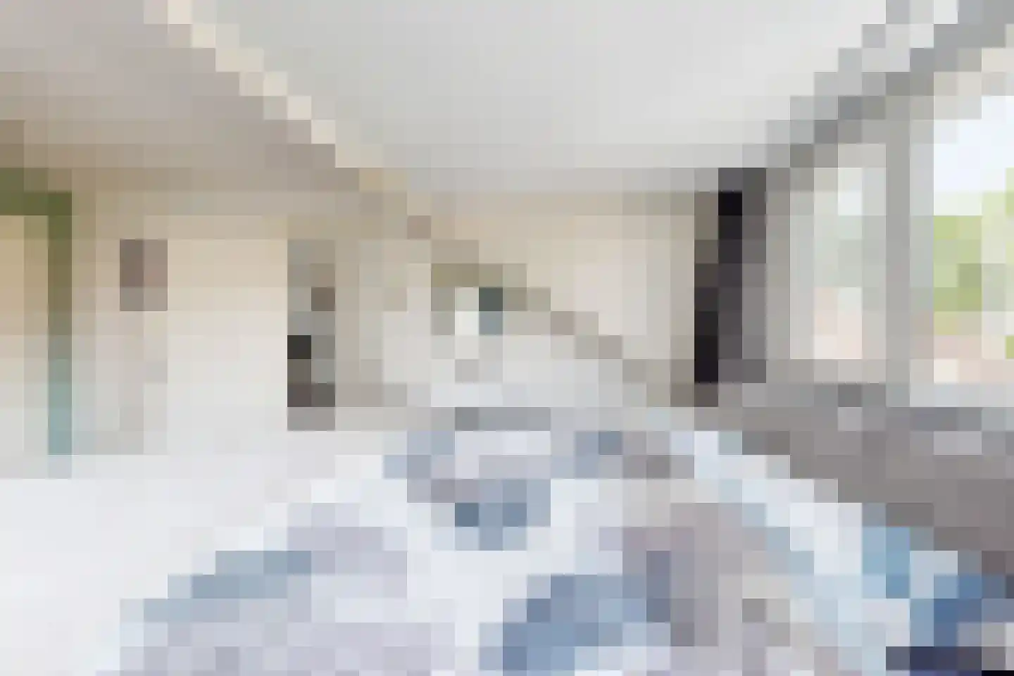 Friesestraat 3 Heijningen thumbnail 41