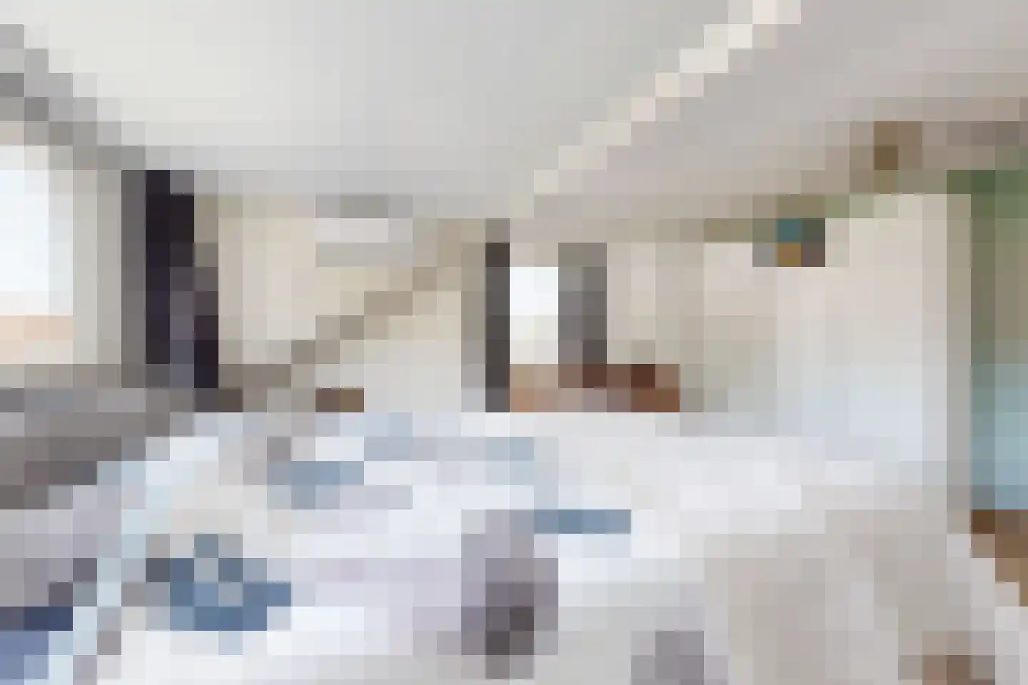 Friesestraat 3 Heijningen thumbnail 42