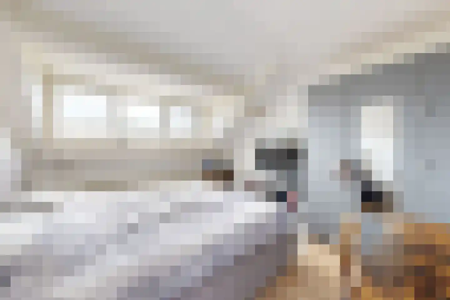 Friesestraat 3 Heijningen thumbnail 43