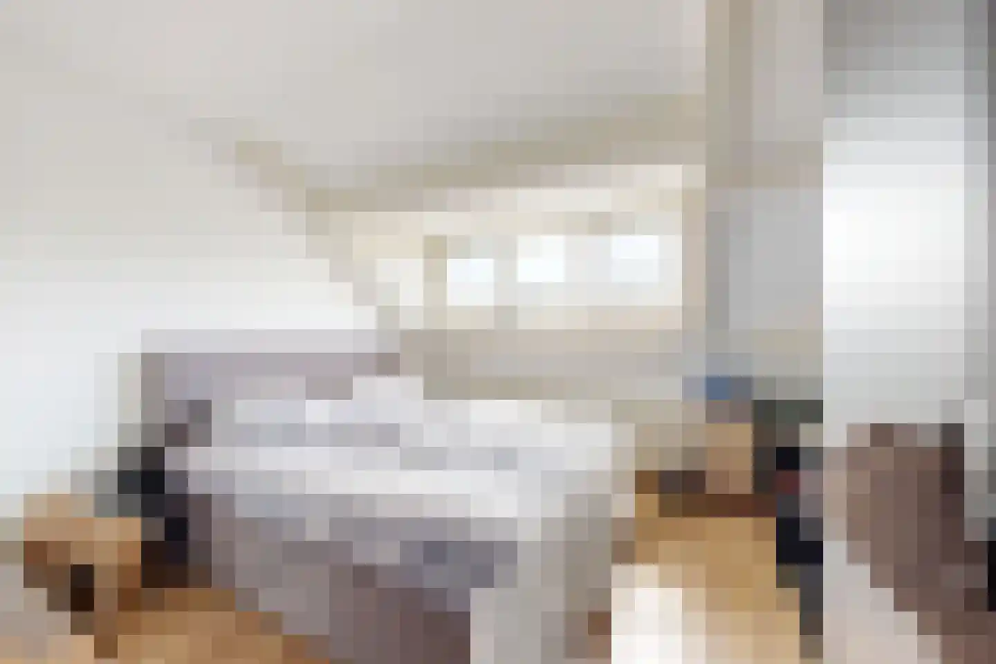 Friesestraat 3 Heijningen thumbnail 44