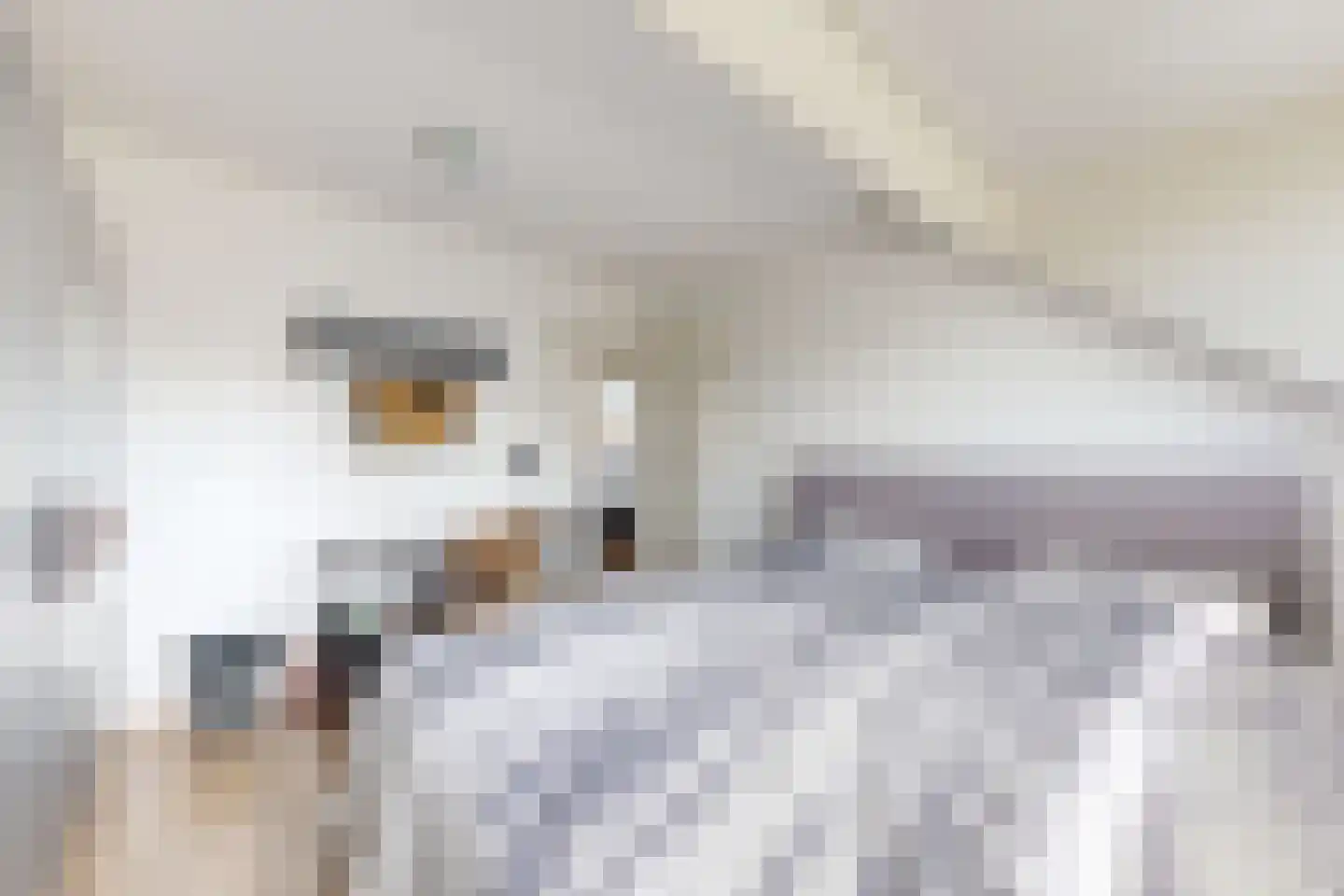 Friesestraat 3 Heijningen thumbnail 45