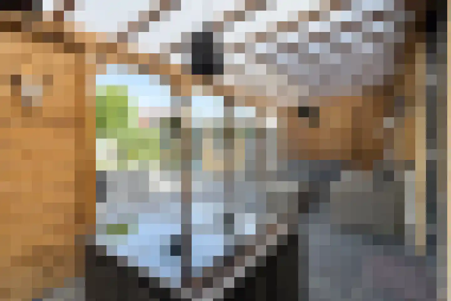 Friesestraat 3 Heijningen thumbnail 50