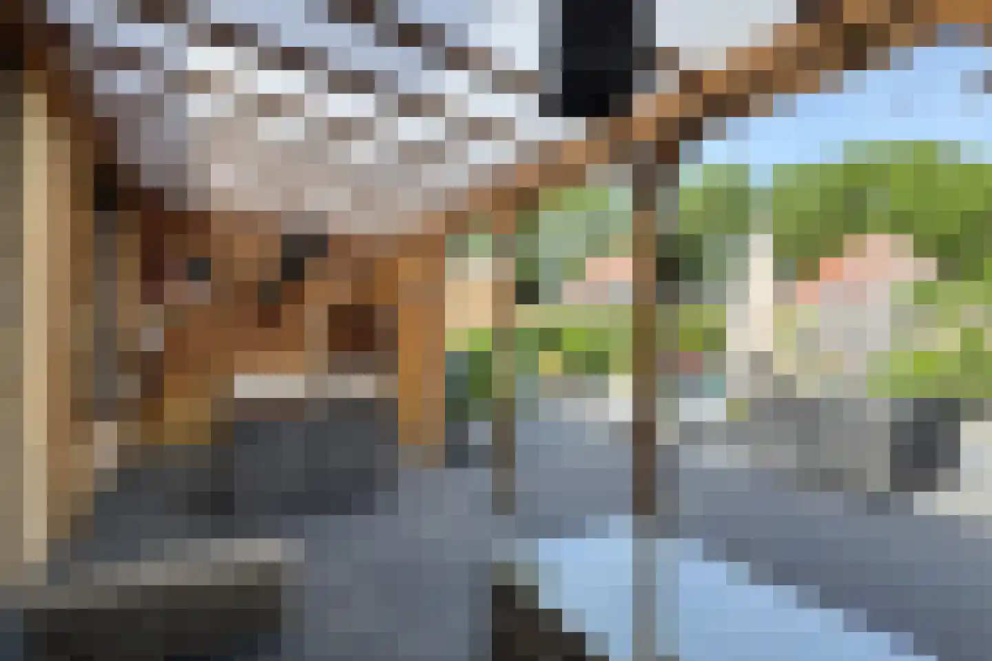 Friesestraat 3 Heijningen thumbnail 52