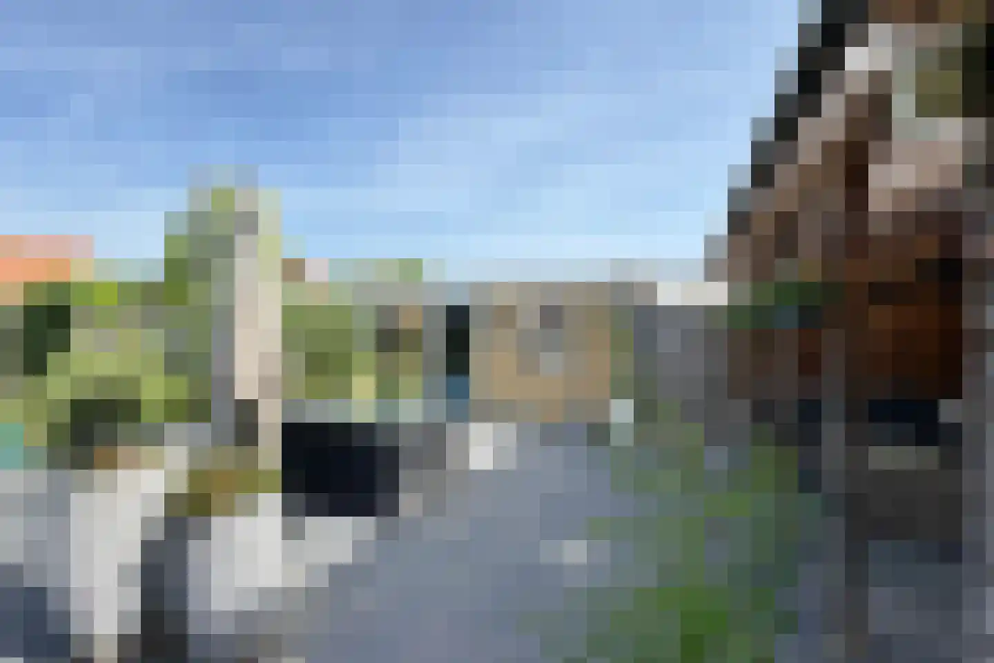 Friesestraat 3 Heijningen thumbnail 55