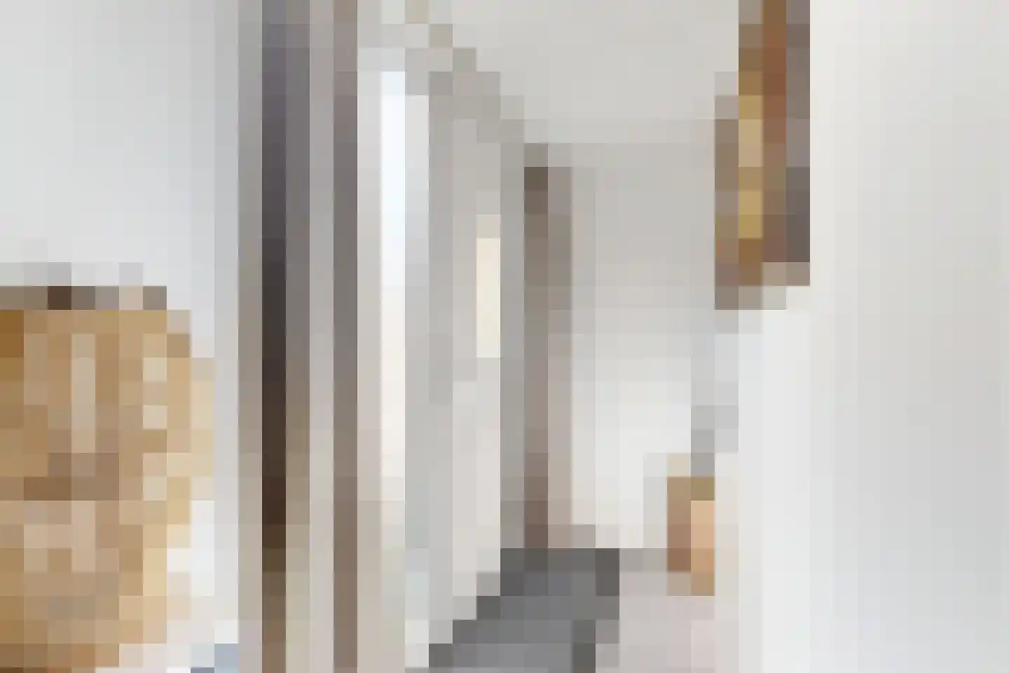 Friesestraat 3 Heijningen thumbnail 6
