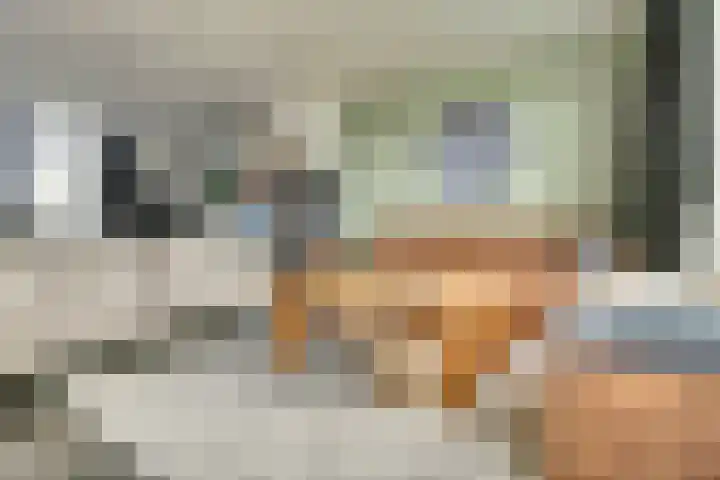 Friesestraat 33 Wolphaartsdijk thumbnail 6