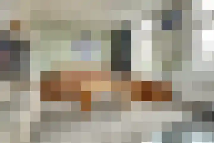 Friesestraat 33 Wolphaartsdijk thumbnail 7