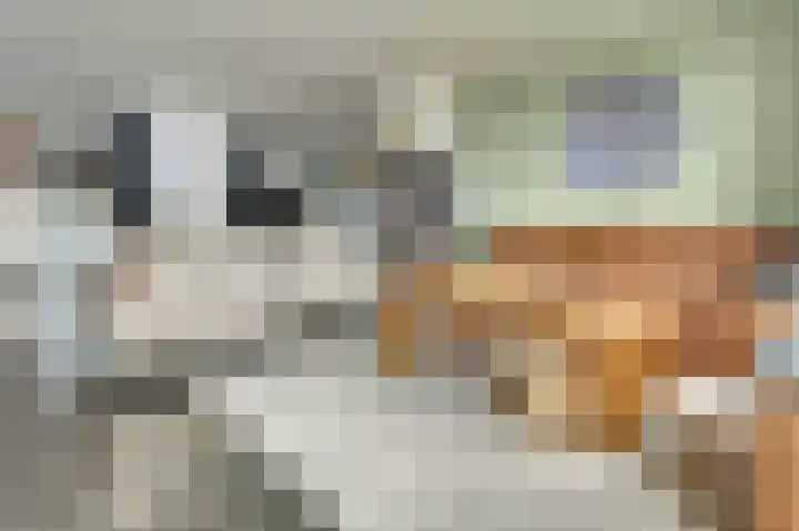 Friesestraat 33 Wolphaartsdijk thumbnail 8
