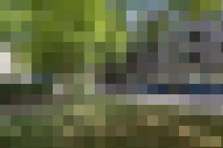 Friesestraat 41 Amersfoort thumbnail 36