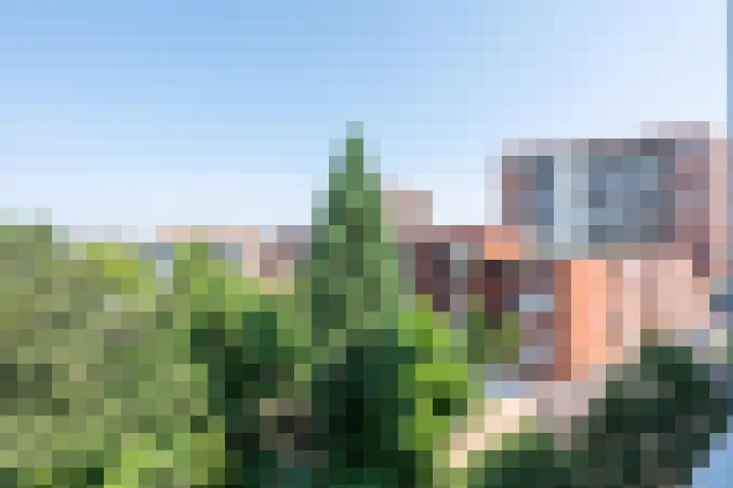 Friesestraat 85 Amersfoort thumbnail 29