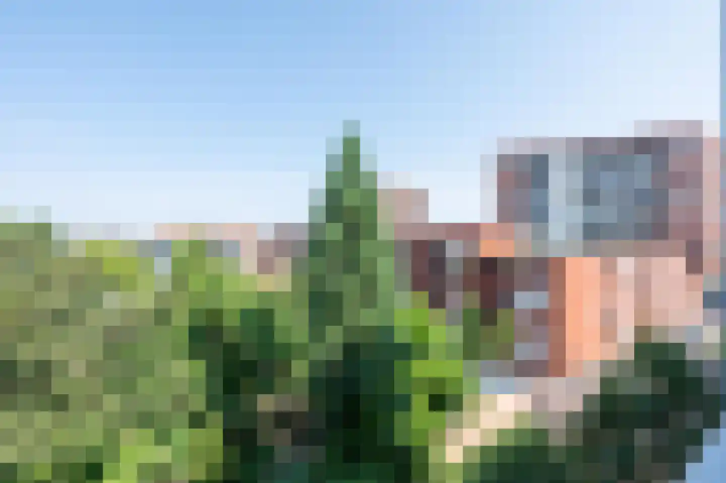 Friesestraat 85 Amersfoort thumbnail 6