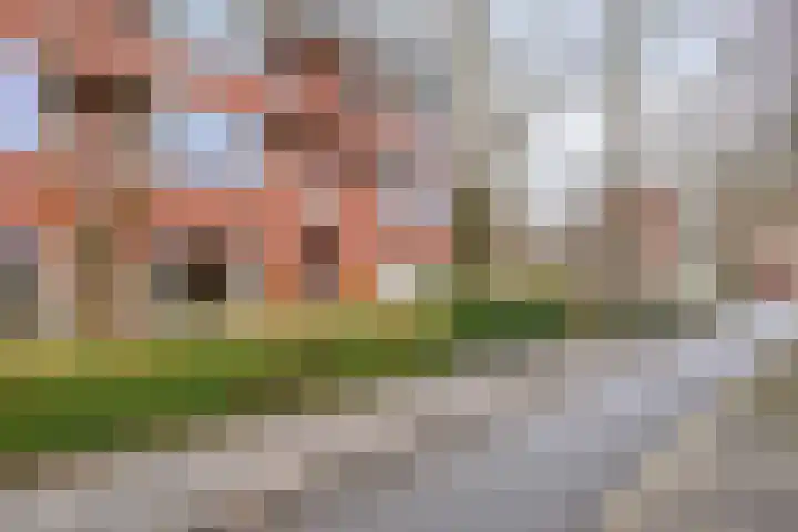 Friesestraatweg 16 5 Groningen thumbnail 31