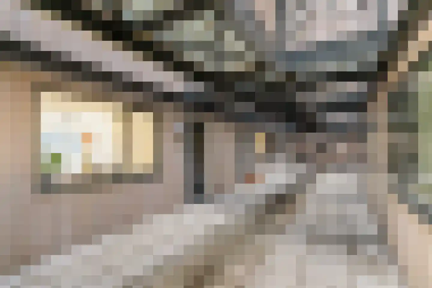 Friesestraatweg 22 5 Groningen thumbnail 12