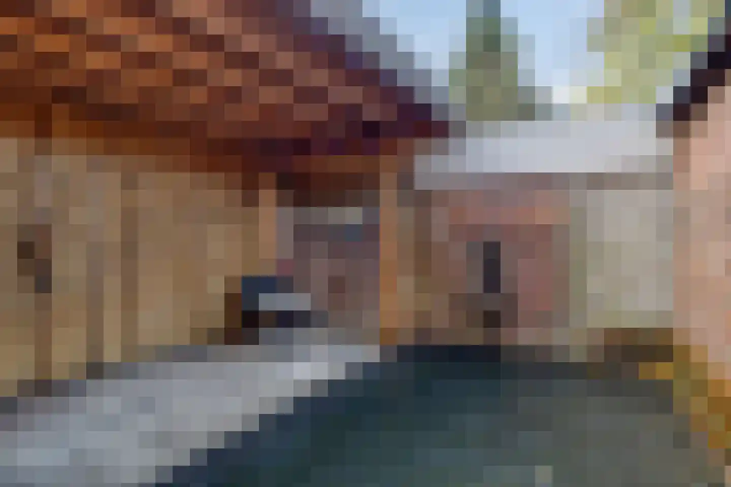 Friesestraatweg 356 Groningen thumbnail 21