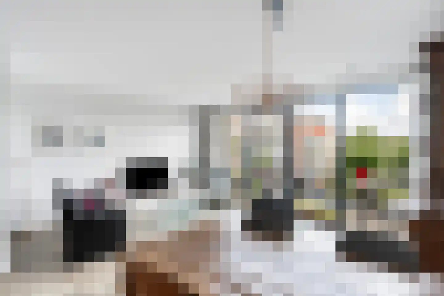 Friesewal 15 Zwolle thumbnail 13
