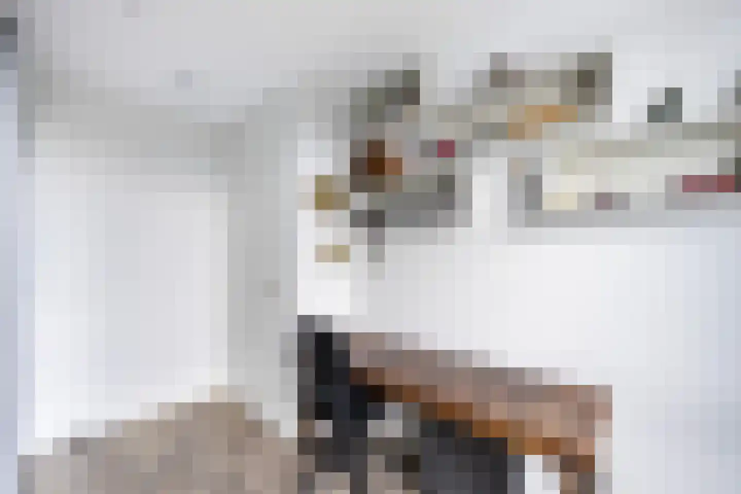 Friesewal 15 Zwolle thumbnail 20
