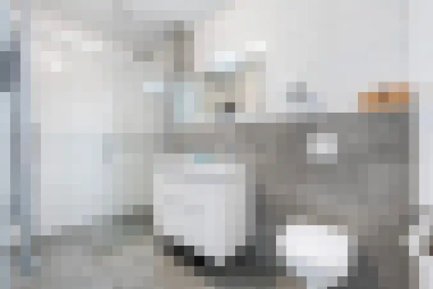 Friesewal 15 Zwolle thumbnail 21