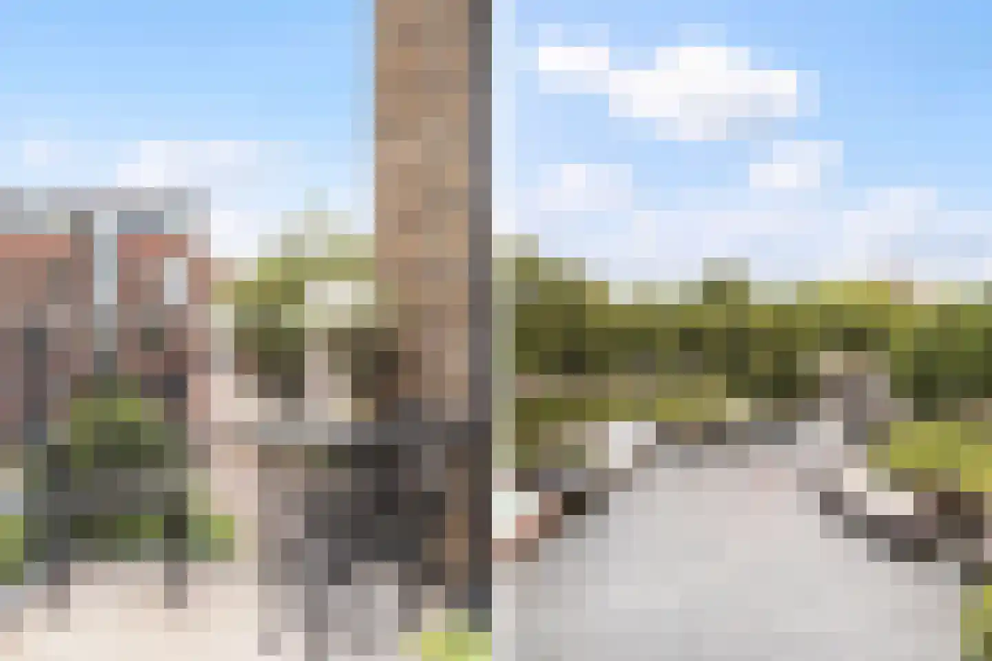 Friesewal 15 Zwolle thumbnail 25