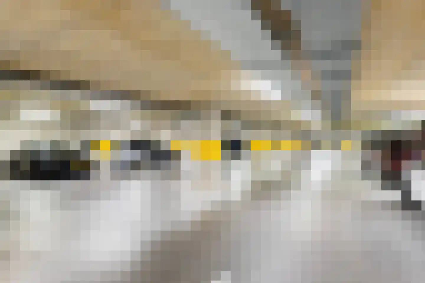 Friesewal 15 Zwolle thumbnail 28