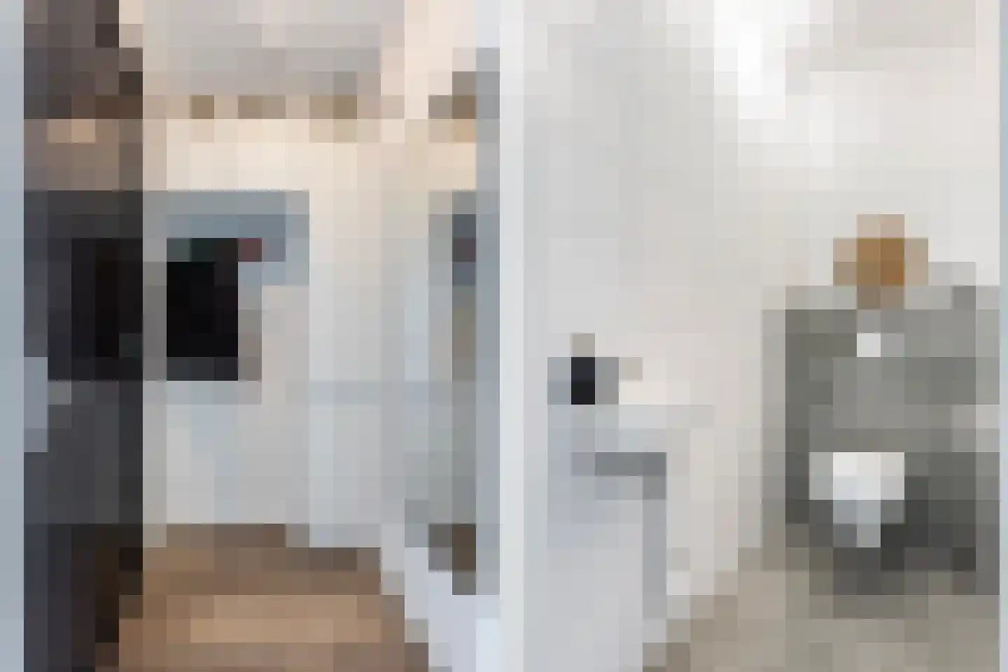 Friesewal 15 Zwolle thumbnail 7