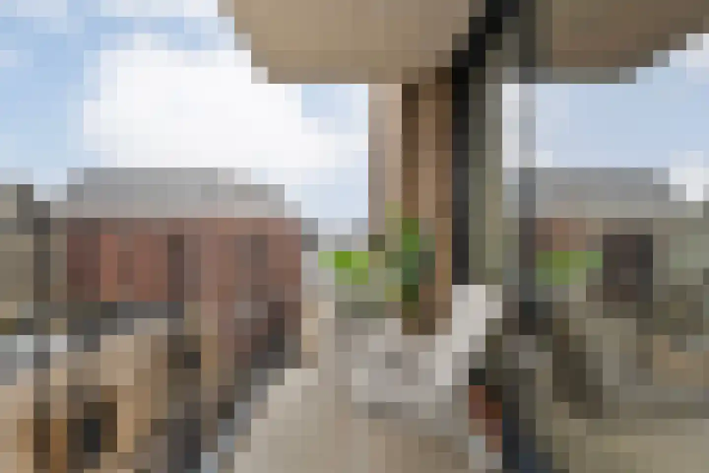 Friesewal 17 A Zwolle thumbnail 23