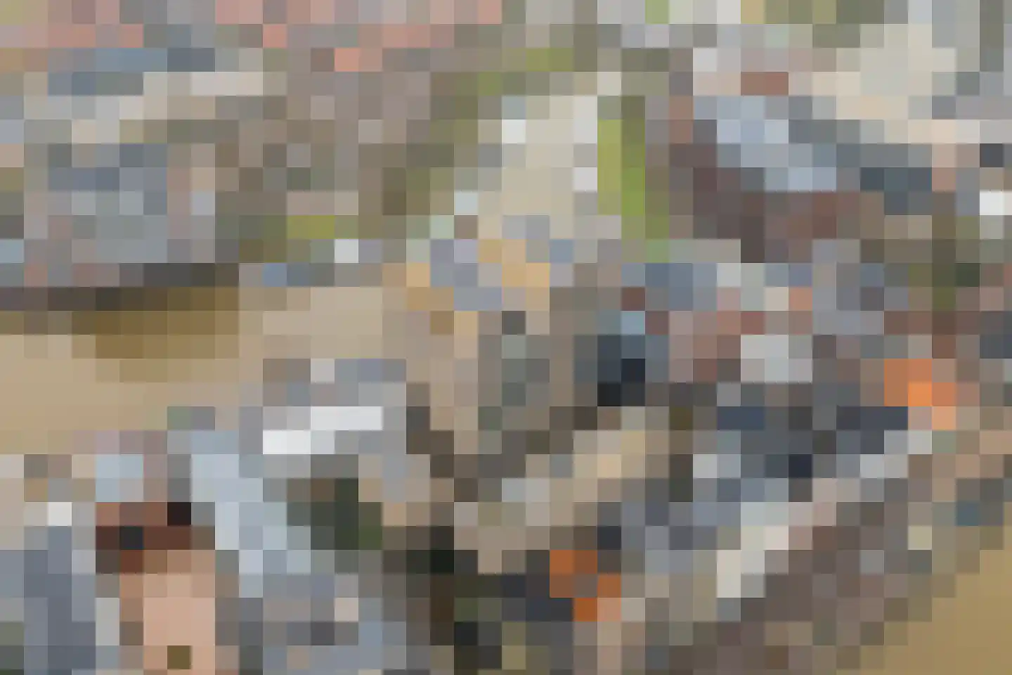 Friesewal 17 A Zwolle thumbnail 36