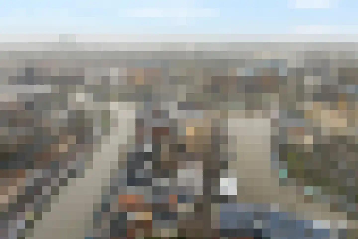 Friesewal 17 A Zwolle thumbnail 37