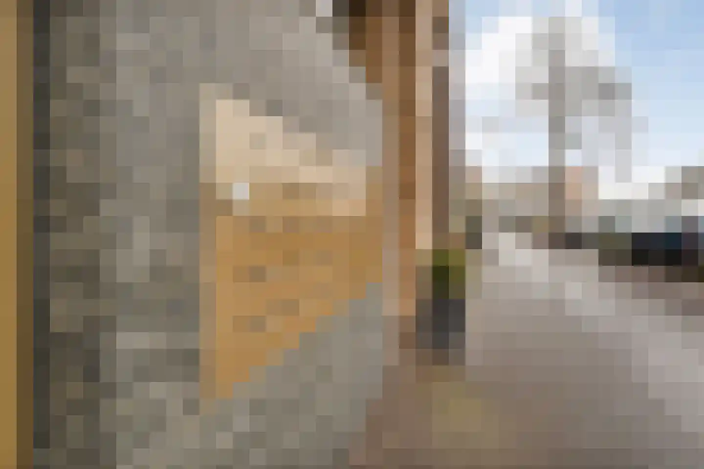 Friesewal 17 A Zwolle thumbnail 4