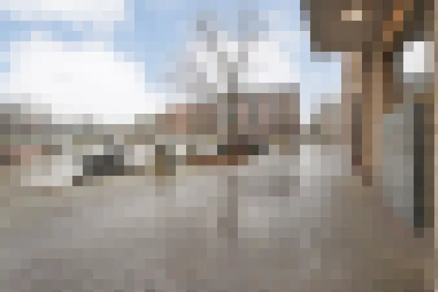 Friesewal 17 A Zwolle thumbnail 5