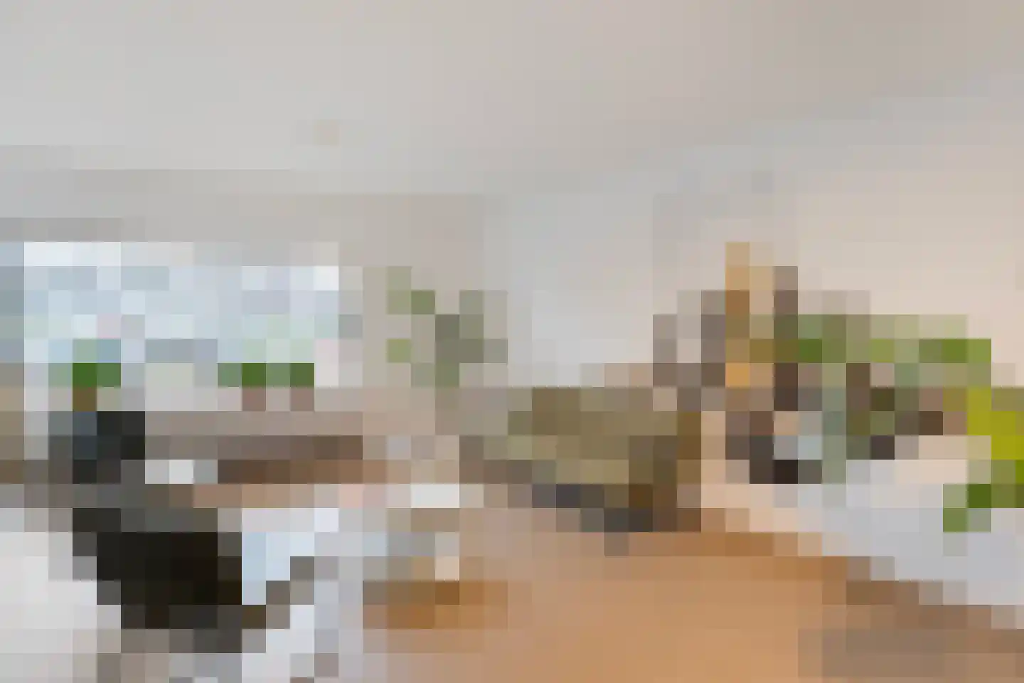 Friesewal 17 A Zwolle thumbnail 9