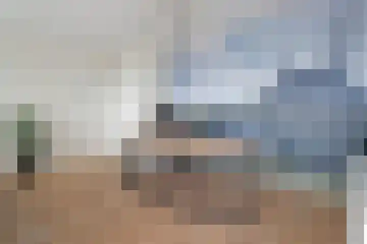 Friesewal 23 Zwolle thumbnail 11