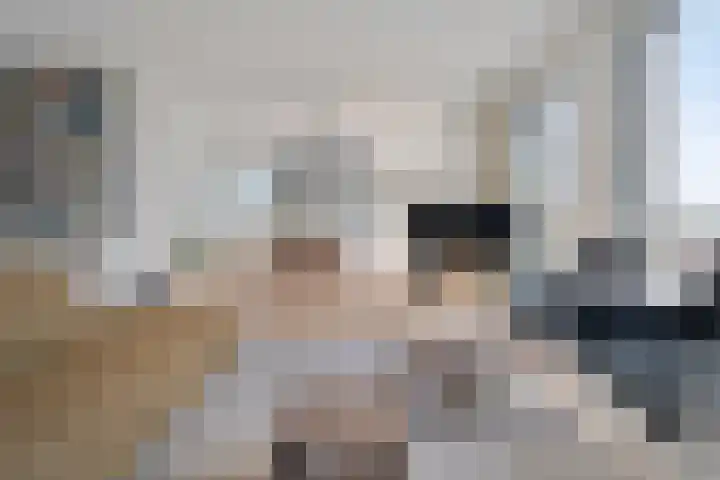 Friesewal 23 Zwolle thumbnail 12