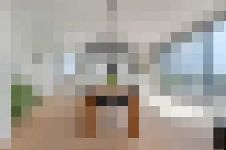 Friesewal 23 Zwolle thumbnail 13