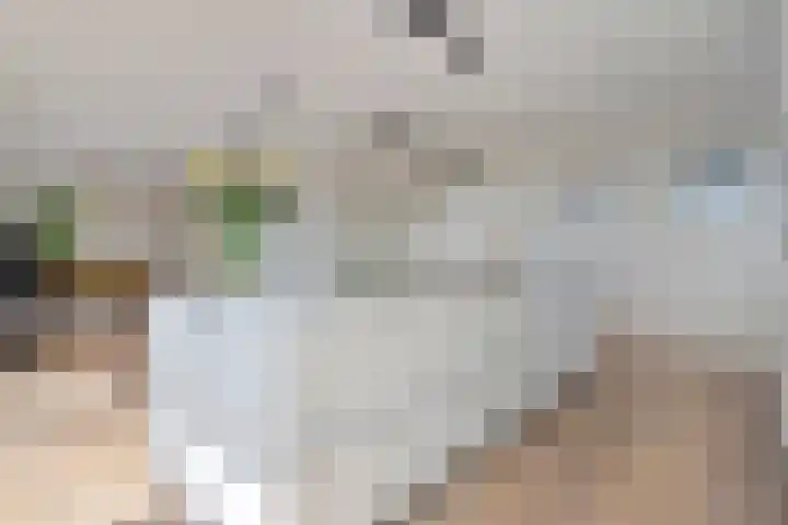 Friesewal 23 Zwolle thumbnail 18