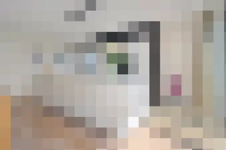 Friesewal 23 Zwolle thumbnail 19