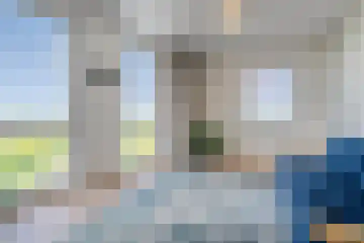 Friesewal 23 Zwolle thumbnail 23