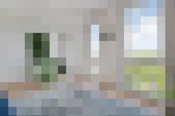 Friesewal 23 Zwolle thumbnail 25