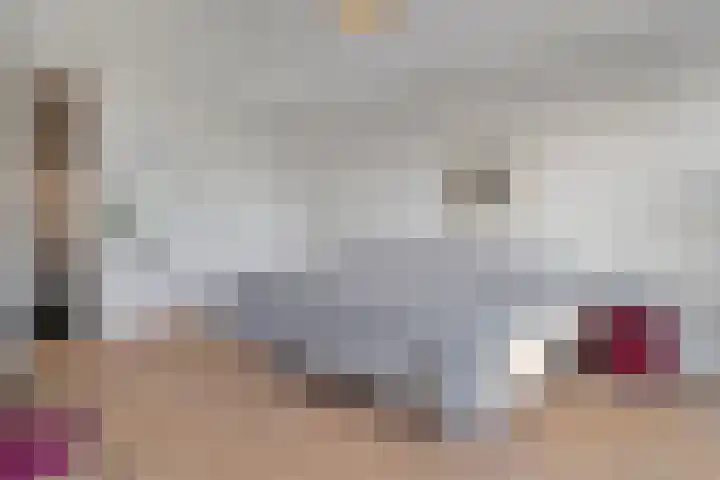 Friesewal 23 Zwolle thumbnail 28