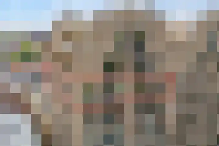 Friesewal 23 Zwolle thumbnail 34